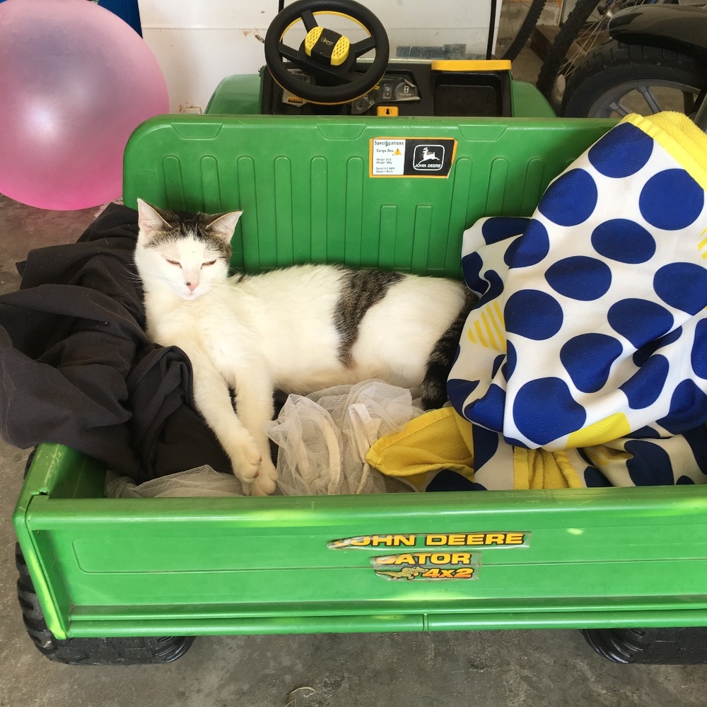 Meet your Posher, Ella